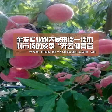 开云棋牌官网