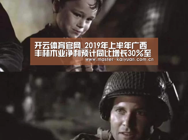 开云体育官网_2019年上半年广西丰林木业净利预计同比增长30%至40%(图2) 开云体育网站