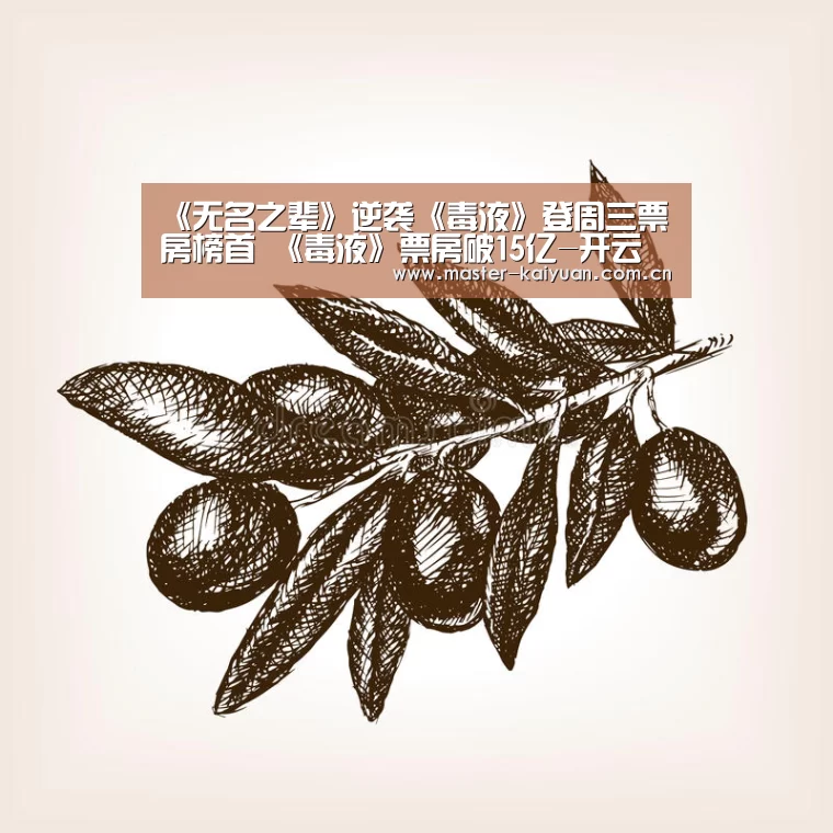 《无名之辈》逆袭《毒液》登周三票房榜首 《毒液》票房破15亿-开云体育网站(图1) 开元棋牌网址