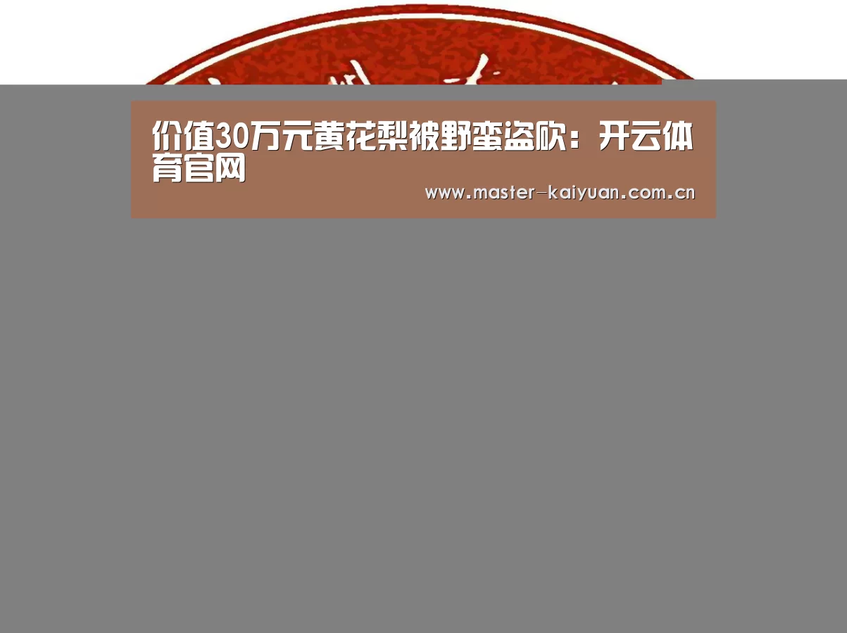 开云棋牌官网