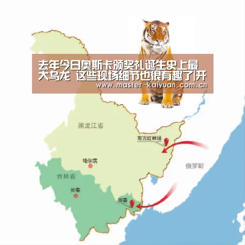 去年今日奥斯卡颁奖礼诞生史上最大乌龙 这些现场细节也很有趣了|开云棋牌官网(图2) 开云体育官网
