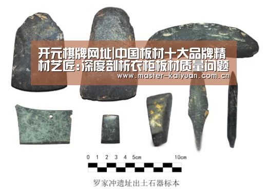 开元棋牌网址|中国板材十大品牌精材艺匠:深度剖析衣柜板材质量问题(图1) 开元棋牌网址