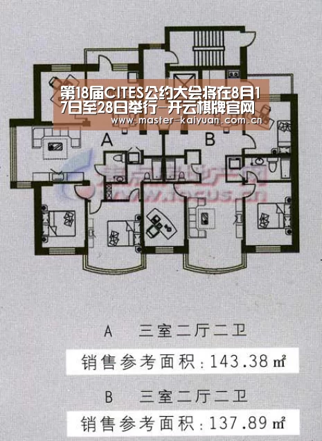 开云棋牌官网