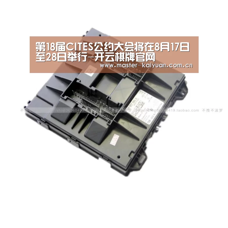 开云体育网站