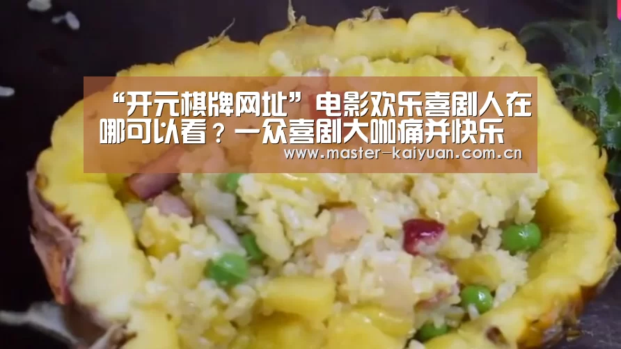 “开元棋牌网址”电影欢乐喜剧人在哪可以看?一众喜剧大咖痛并快乐着(图1) 开云体育官网