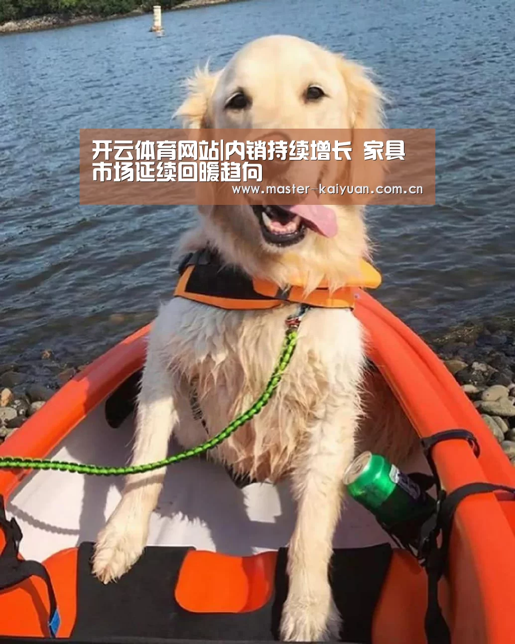 开云体育官网