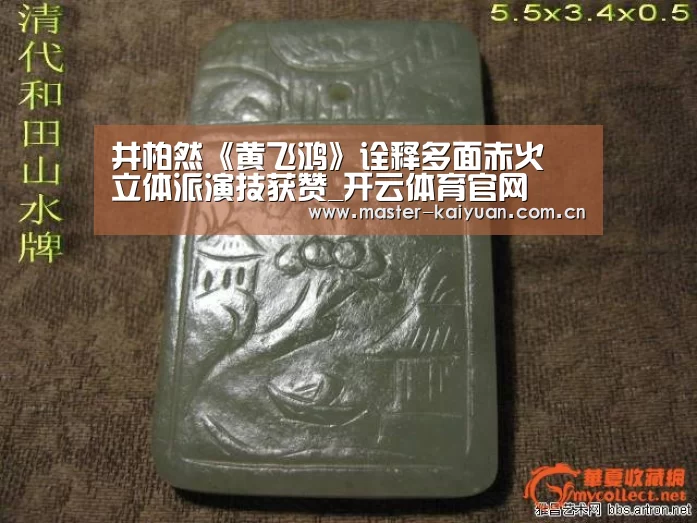井柏然《黄飞鸿》诠释多面赤火 立体派演技获赞_开云体育官网(图2) 开云体育官网
