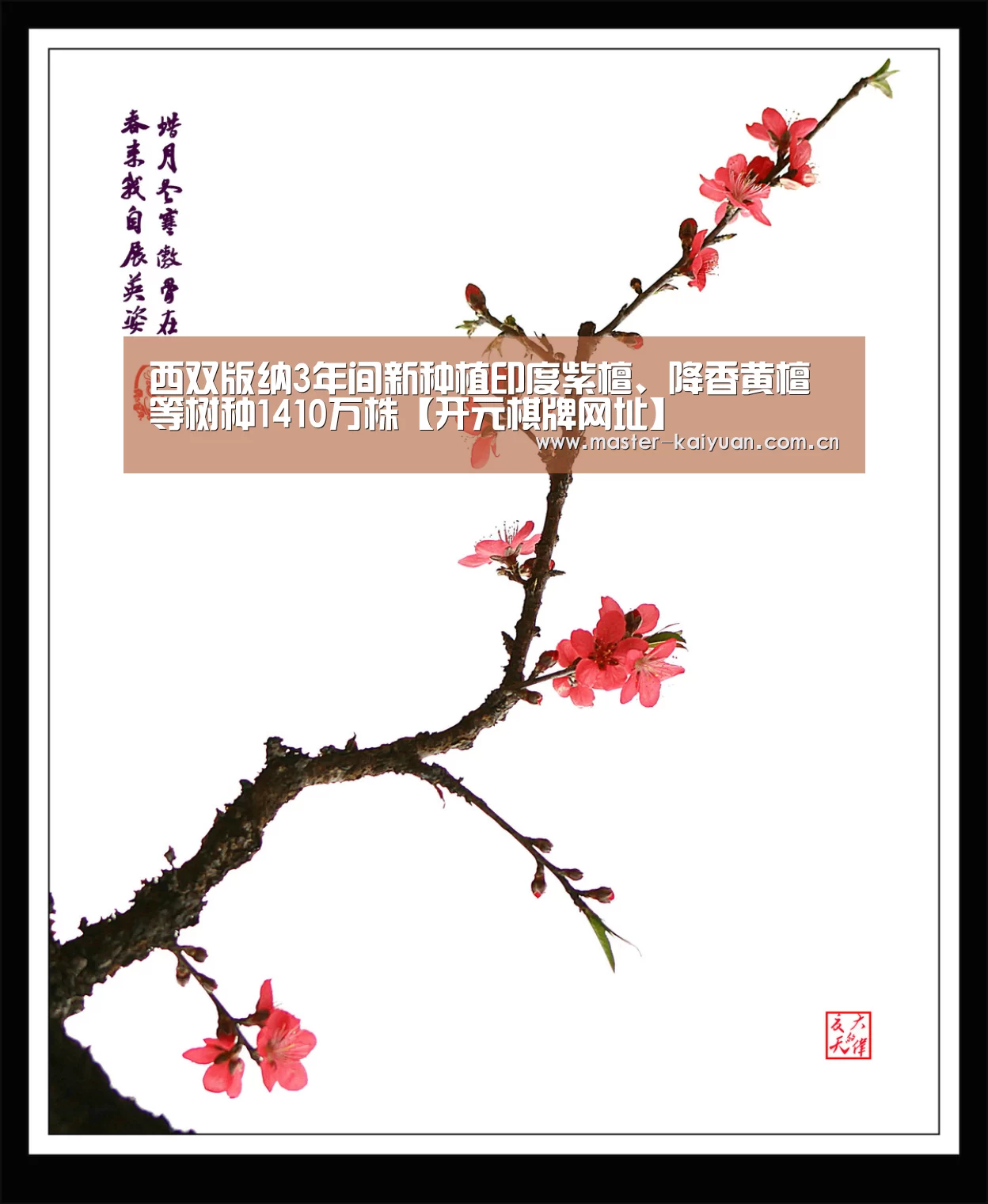 开云体育官网