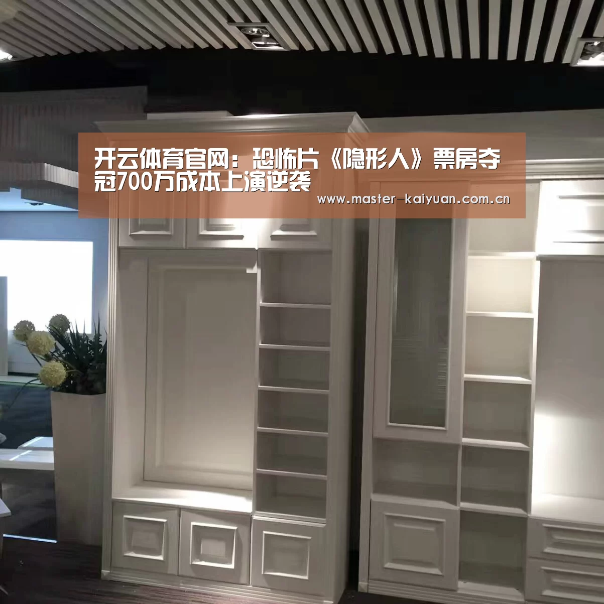 开云体育网站